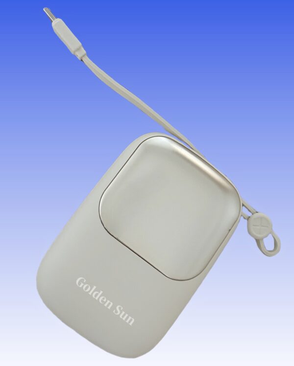10000mAh fast charging power bank portable charger | LED lights for travalling | Goldensun - Image 2