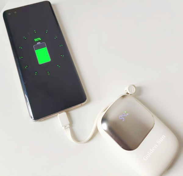 10000mAh fast charging power bank portable charger | LED lights for travalling | Goldensun - Image 5